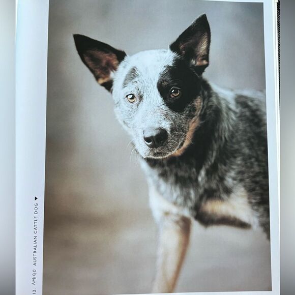 101 Salivations DogāBook - Picture 2 of 4